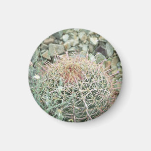 Imã Magneta de presente do gelador de cactus de poesia
