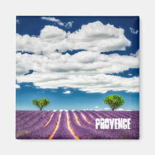 Imã Magneta de produção, lavanda de Valensole