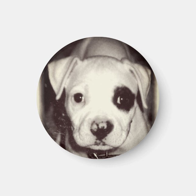 Imã Magneta de puppy cúbica (Frente)