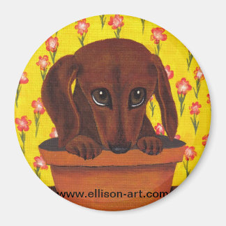 Imã Magneta De Puppy Dachshund Muito Bonita