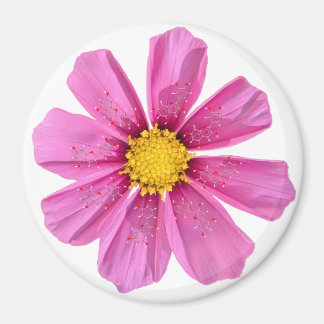 Imã Magneta de Química da Flor