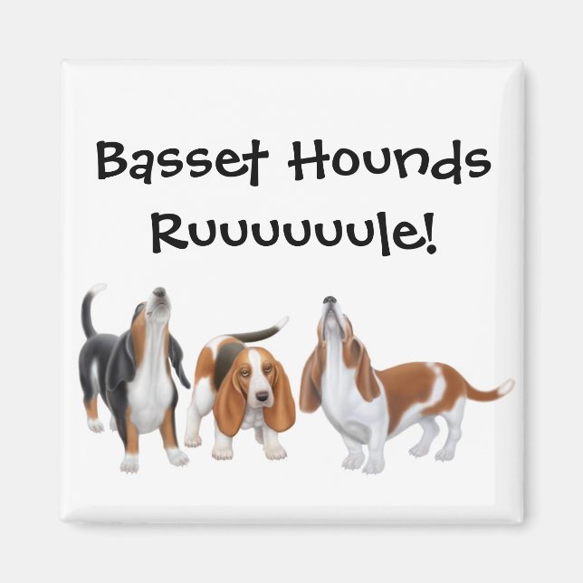 Imã Magneta de Regras de Hounds Basset (Frente)