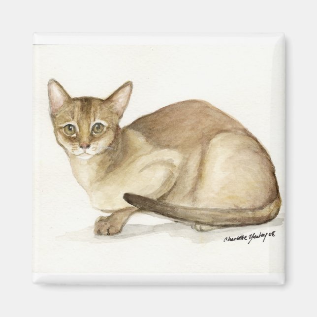 Imã Magneta de reprodução de arte "Abyssinian Cat" (Frente)