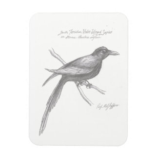 Ímã Magneta de Sapier Violeta de Ala Violeta do Sul de