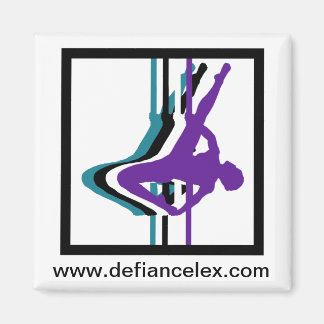 Imã Magneta de silhueta de Malhação de vara