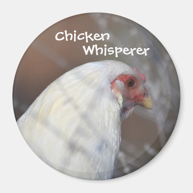Imã Magneta de Sussurro de Frango (Frente)