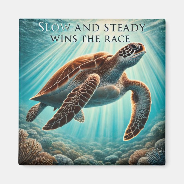 Imã Magneta de Tartaruga lenta e firme (Frente)