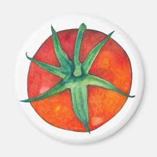 Imã Magneta de tomate vermelho