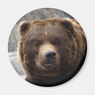 Imã Magneta de Urso Grizzly