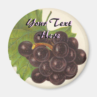 Imã Magneta de Uvas Vintage