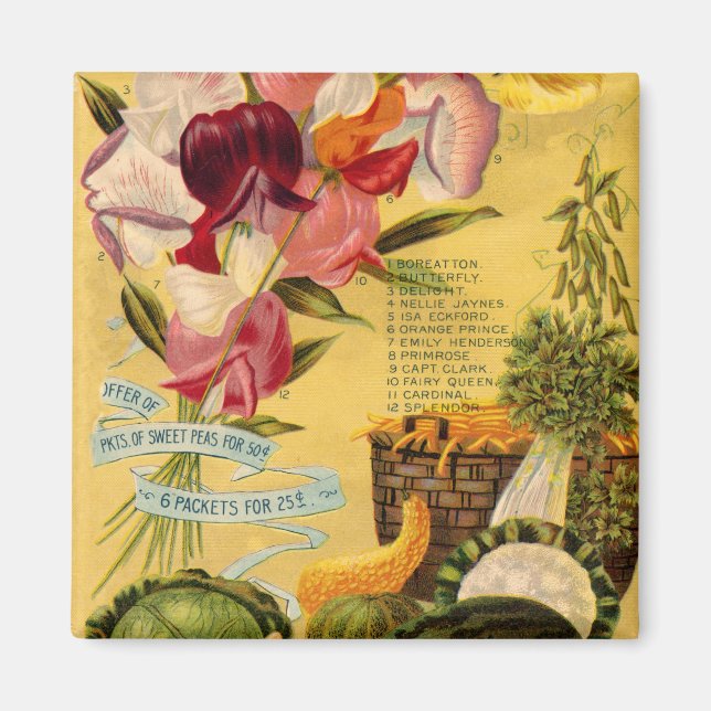 Imã Magneta de variedade de sementes (Frente)