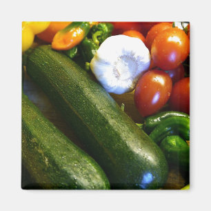 Imã Magneta de vegetais