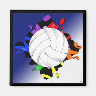 Imã Magneta De Voleibol