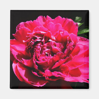 Imã Magneta decorativa - Flor