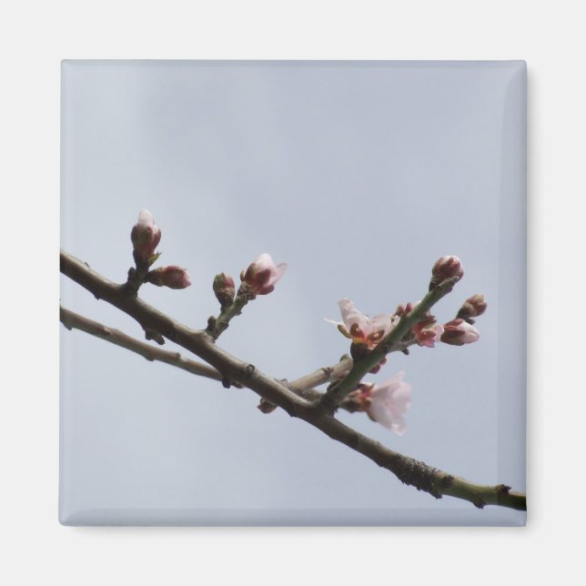 Imã Magneta do Branch do Flor (Frente)