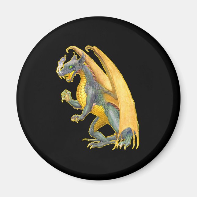 Imã Magneta do Dragão de Quebra-Fogo (Frente)