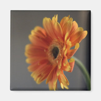 Imã Magneta do Flor