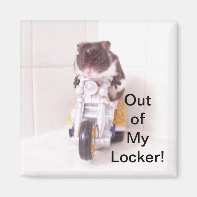 Imã Magneta do localizador de hamster (Frente)