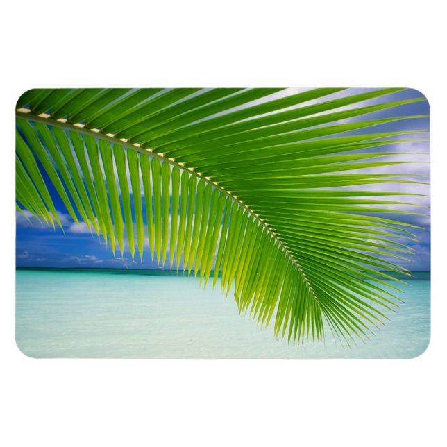 Ímã Magneta do oceano tropical (Horizontal)