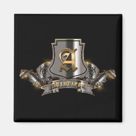 Imã Magneta do refrigerador