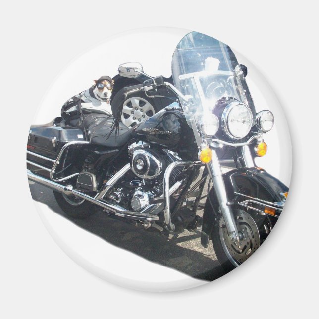 Imã Magneta do refrigerador de suínos (Frente)