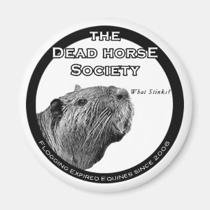 Imã Magneta do refrigerador DHS