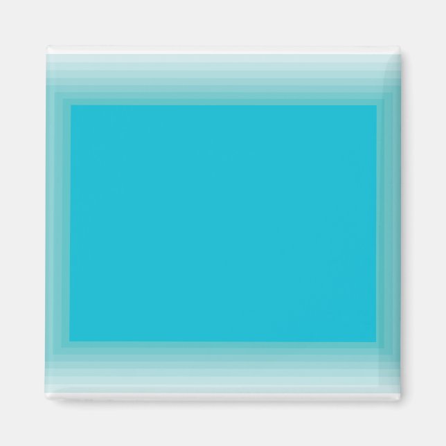 Imã Magneta do retângulo do meio século (Frente)