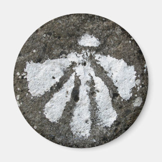 Imã Magneta do Shell do Scallop