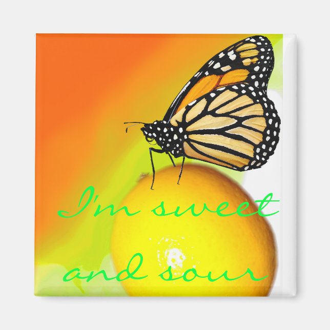 Imã Magneta doce e ácida (Frente)