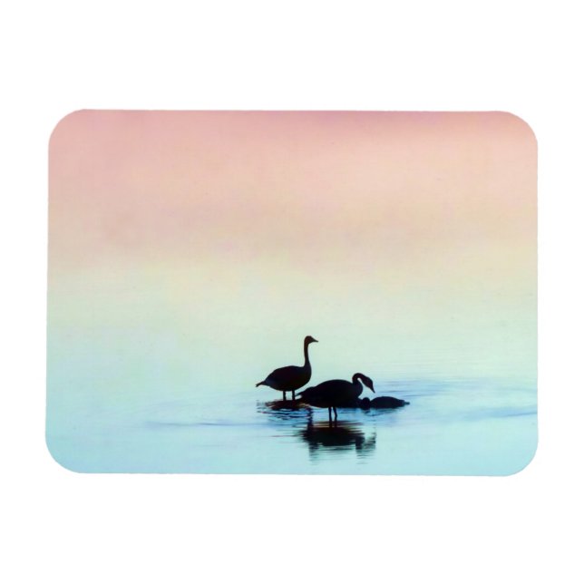 Ímã Magneta estática (Horizontal)