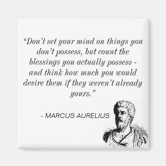 Imã Magneta Estática (Marcus Aurelius)