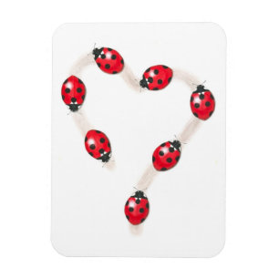 Ímã Magneta Flexi do Coração Ladybug