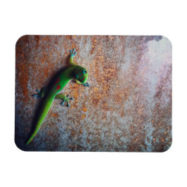Ímã Magneta Flexi Gecko Verde
