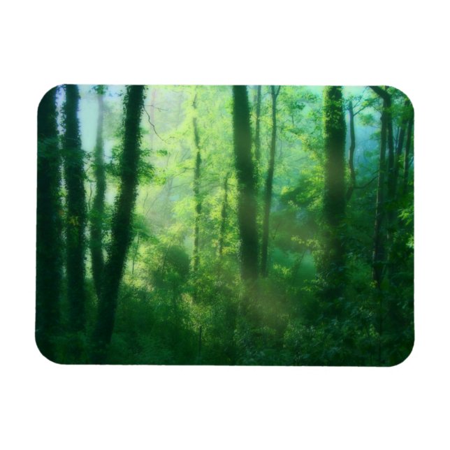 Ímã Magneta flexível de fertilidade (Horizontal)