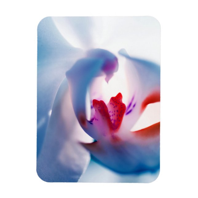 Ímã Magneta flexível de fotos com Design de orquídea c (Vertical)