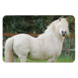 Ímã Magneta flexível do cavalo de Cob galês