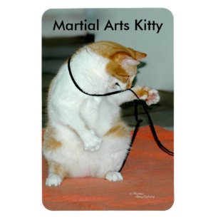 Ímã Magneta flexível do Gatinho de artes marciais