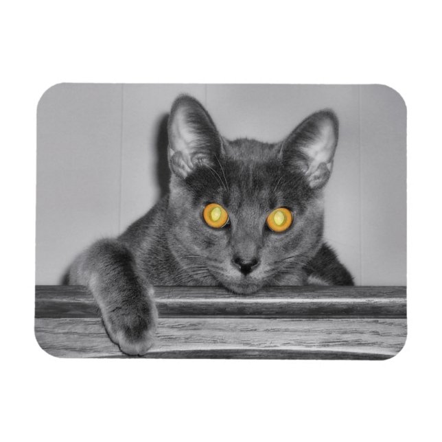 Ímã Magneta flexível Dourada usky (Horizontal)