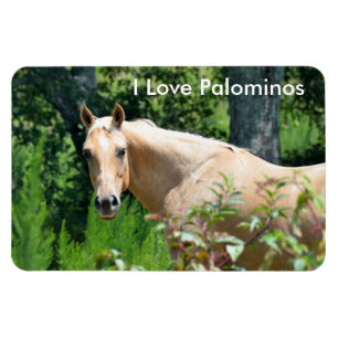 Ímã Magneta flexível Palomino Horse