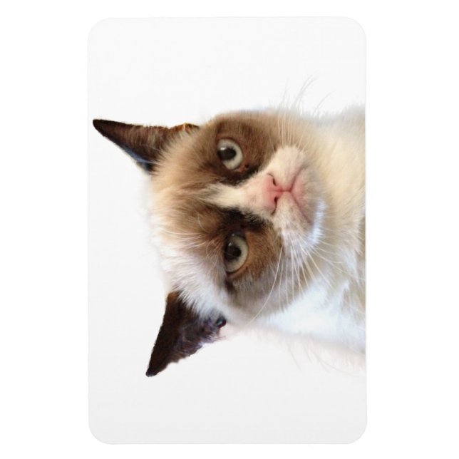 Ímã Magneta flexível para gatos rabugentos (Vertical)