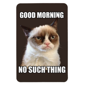 Ímã Magneta flexível para gatos rabugentos