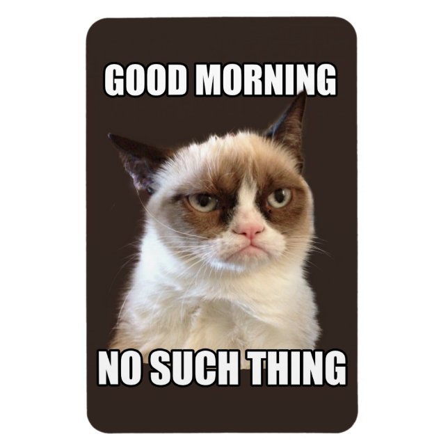 Ímã Magneta flexível para gatos rabugentos (Vertical)