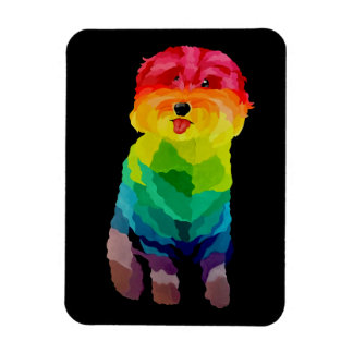 Ímã Magneta Flexível Pepita Rainbow