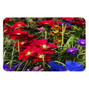 Ímã Magneta flexível Primavera iridescente