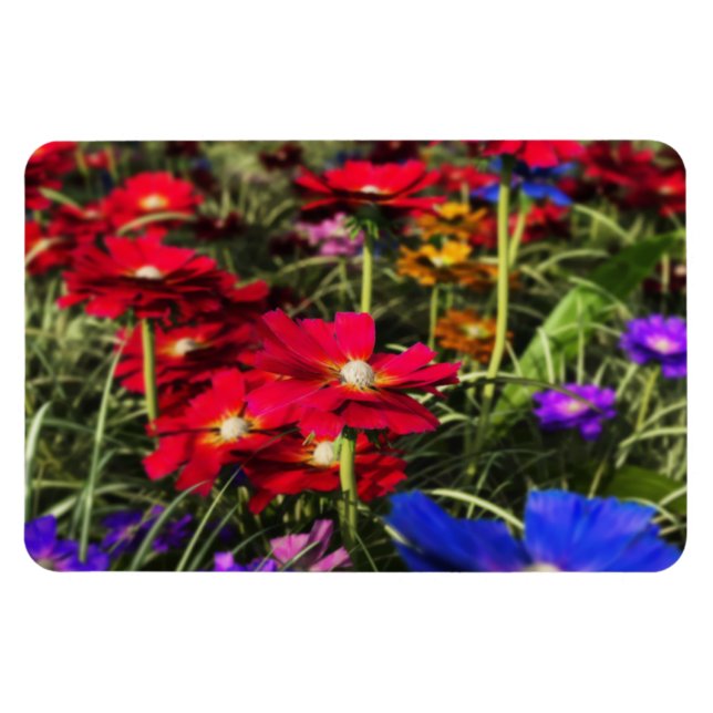 Ímã Magneta flexível Primavera iridescente (Horizontal)