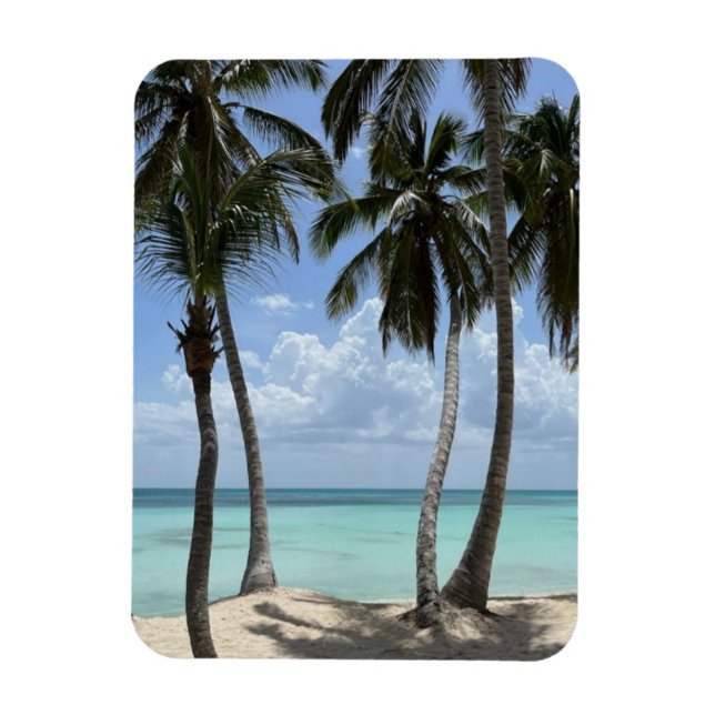 Ímã Magneta flexível tropical (Vertical)