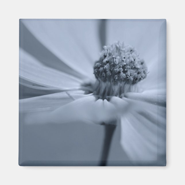 Imã Magneta Floral (Frente)