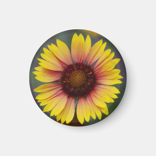 Imã Magneta Floral de Margarida Amarela (Frente)