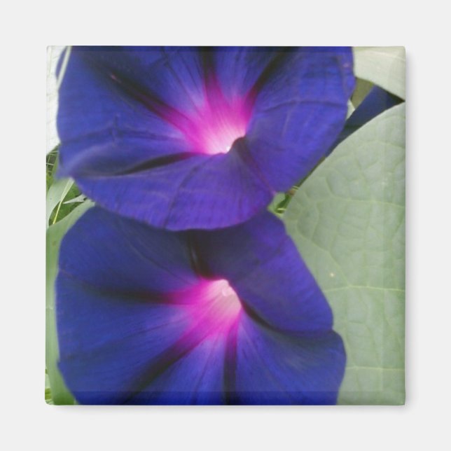 Imã Magneta Floral para Fridge (Frente)