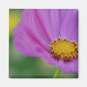 Imã Magneta Floral Rosa